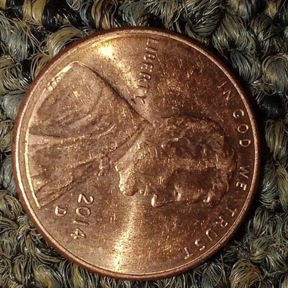 Meet your Posher, Buyand